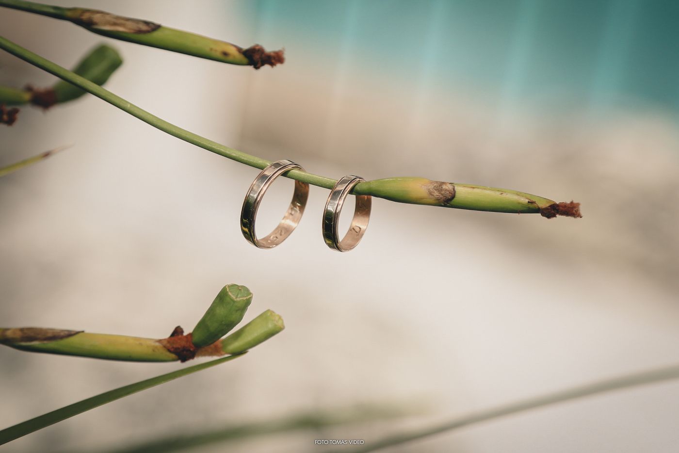 Los anillos